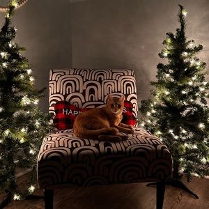 Meet your Posher, Carey